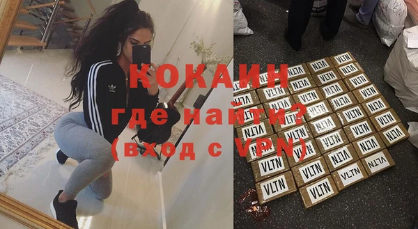 стаф Алзамай