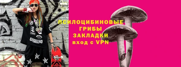 дмт Алексин