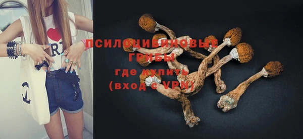 бошки Абинск