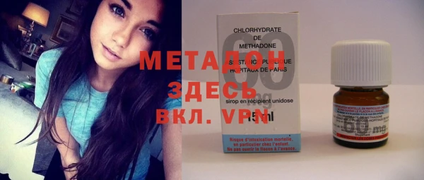 стаф Алзамай