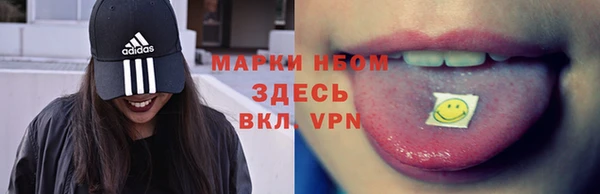 стаф Алзамай