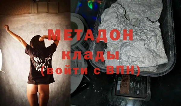 стаф Алзамай