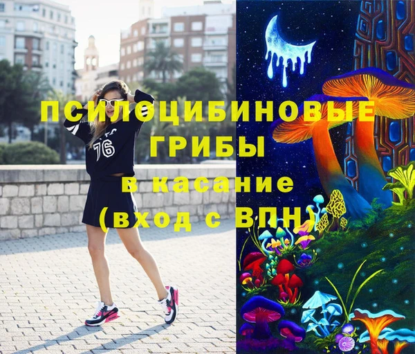стаф Алзамай