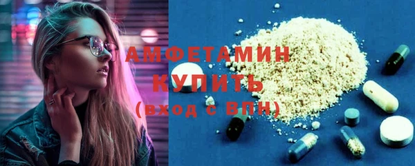 стаф Алзамай